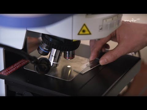 Die Spur der Täter | Die Spur der Täter | MDR