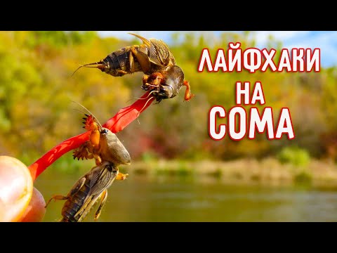 Монтаж СНАСТІ на СОМА в деталях, на що ловити, коли і де