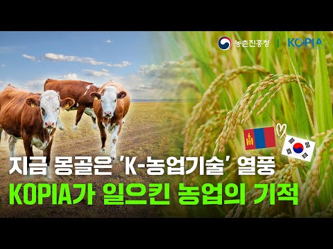 KOPIA 몽골 프로젝트 | 초원에 심은 기술의 씨앗🐮🌾