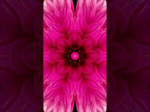 Lotus Flower Activation Ritual #crownchakra #spiritualmusic