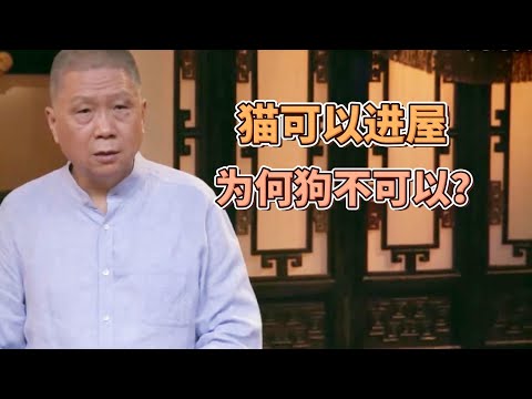 貓可以進屋,爲何狗不可以?聼馬爺講完漲知識了! #圓桌派#窦文涛#观复嘟嘟#马未都