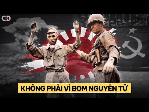 Đây Mới Là Lý Do Thực Sự Khiến Nhật Đầu Hàng Trong Thế Chiến 2?
