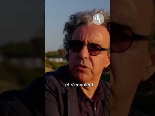 Un mot pour dรฉfinir le Maroc ? #shorts #tv5monde #maroc