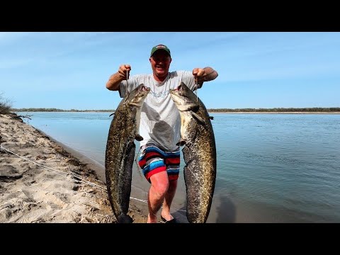 Рыбалка, которую не забыть: мой путь на Сырдарью. Тысячи километров за рыбой мечты.