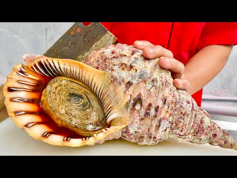 conch. queen sea snail // vn chef