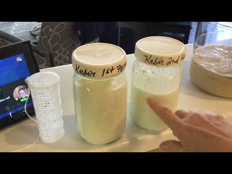EASIEST Milk Kefir Making Process (w/ Kefir Cage!) - Description Box is LOADED with Info Links