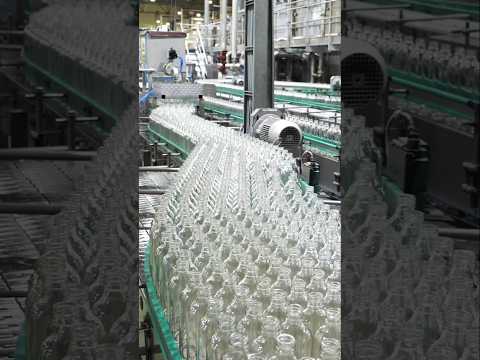 Amazing Speed! 250,000 Soju Bottles Made Every Day in Korea’s Liquor Factory