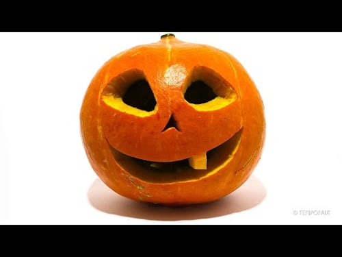 Halloween Pumpkin Timelapse