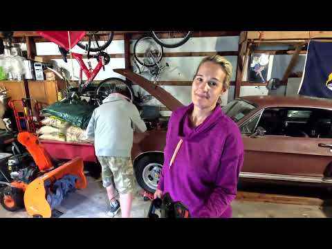 1967 Shelby Mustang: What did we inherit? (Clone or Real)