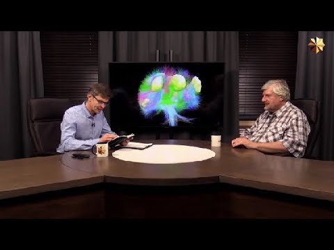 С.В. Савельев о женском мозге и женской логике