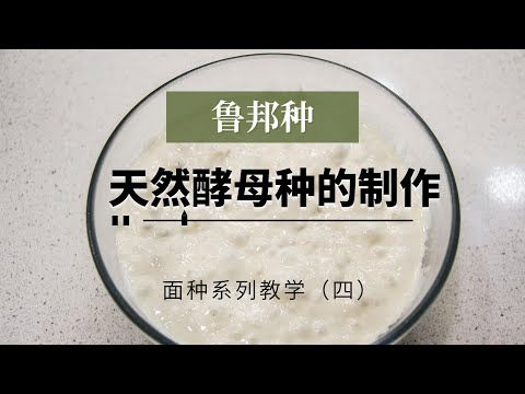 鲁邦种的培养 天然酵母种的制作教学(四)干货分享|保姆级鲁邦种培养教程新手必读