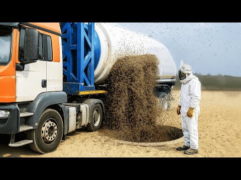 Everybody Mocked Nevada For Dumping Millions of Bees Into Desert. 1 Month Later, They Regretted It