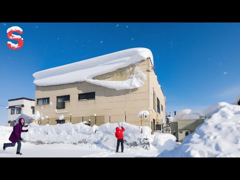 Skilled Snow Removal: Massive Roof Avalanche | Extreme Challenging Roof Snow Clearing Moments #11