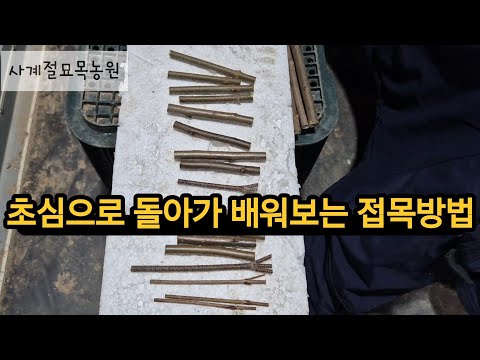 초심으로 돌아가 배우는 접목방법