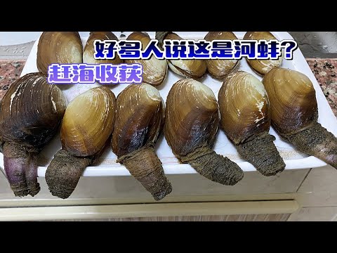 "Global Quest" Oman ~ Day 5: Someone actually said that I was digging for mussels by the river?