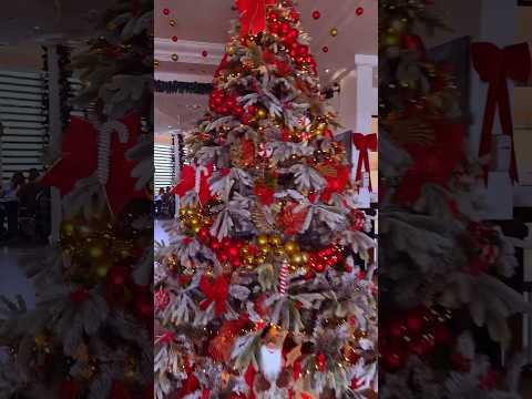 Vlogmas Day 9 | Lunch with our family member + Christmas Gift🥹 #vlogmas2025 #dayinmylife #minivlog