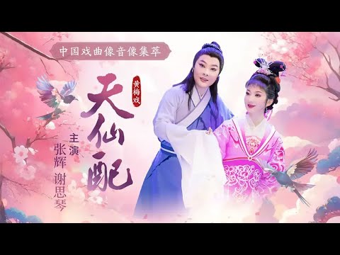 湖北省黄梅戏剧院院长与当家花旦搭档主演 再现董永和七仙女的爱情故事 黄梅戏《天仙配》(张辉 饰 董永,谢思琴 饰 七姐)来自《中国戏曲像音像集萃》| 中华戏韵