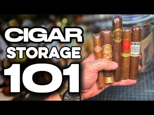 Cigar Storage 101: The Only Guide you need