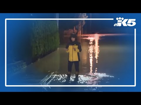 Multiple levee failures amid devastating flooding in western Washington