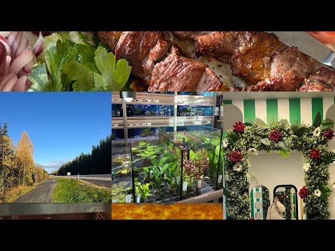 Slow life in Sweden 🇸🇪/Baking cake/ Shaping days/ Silent vlog /Cozy autumn days/🍂🍁