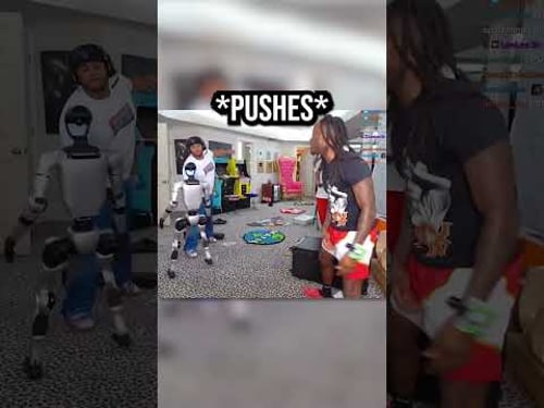 Fanum & Kai Cenat Violate Their $70K Robot π€π