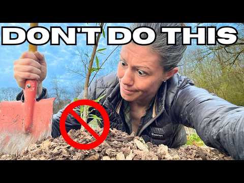 12 Planting MISTAKES Killing Your Fruit Trees