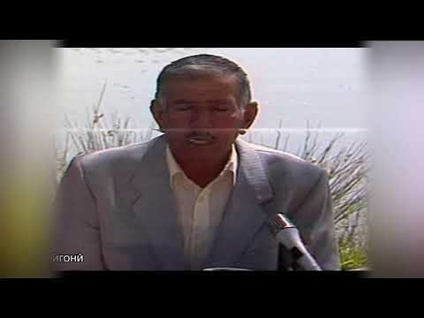 Одина Хошим | Одина Ҳошим | odina hoshim | ادینه هاشم