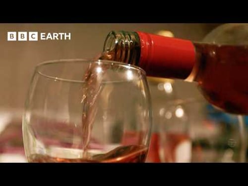 Medical Myths: What Works And What Doesn't? | BBC Earth Science