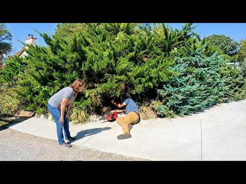 Elderly Widow Did NOT BELIEVE that this Overgrown Yard Could be Brought BACK TO Life