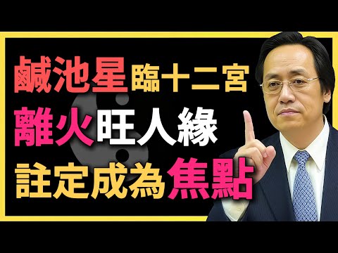 鹹池星臨十二宮,離火旺人緣,註定成為焦點人物!#命理 #倪海廈 #八字分析 #人緣運勢 #鹹池星 #離火 #命盤解析 #命運之路 #自我修煉 #命理智慧