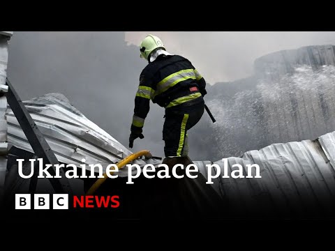 US President Trump's envoy to have Ukraine peace plan talks at Kremlin | BBC News