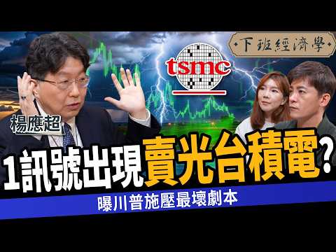 【股票】台股大跌!曝台積電致命弱點?前外資金童:1訊號持股全清光?ft. 楊應超|下班經濟學542|謝哲青 @TheStormMedia
