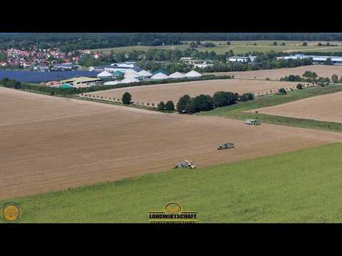 Schaffen wir die Fläche in 2 Stunden? Schlagkraft Köhl Harvest Großeinsatz Maishäckseln Maisernte