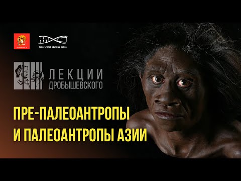 Лекции Дробышевского. Третье, четвёртое, пятое.... человечество. Препалеоантропы Азии