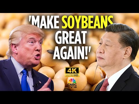 US President Donald Trump To Raise Soybean Trade Issue With China's President Xi | US-China N18G 4K
