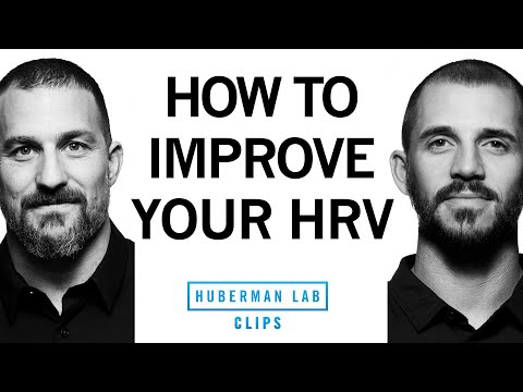 How to Improve Your HRV | Dr. Andy Galpin & Dr. Andrew Huberman