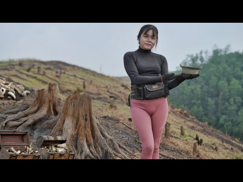 How the chubby girl discovered treasure buried under a burnt tree - Treasure Hunter