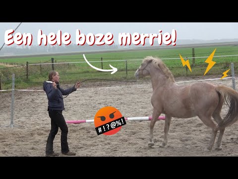 Trainen met een onbetrouwbare merrie DEEL 1 | DressuurNatuurlijk