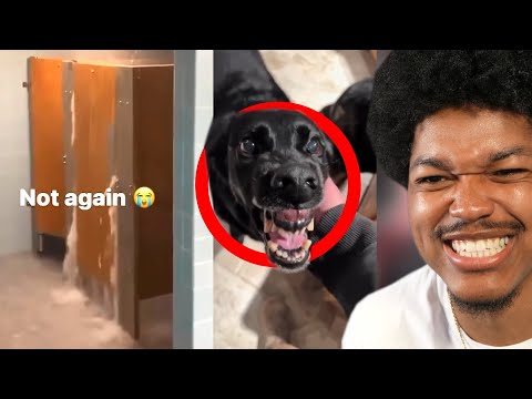 These Tiktoks Are Unhinged