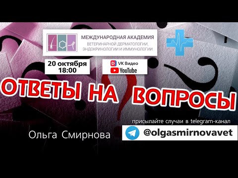 Ответы на вопросы. Выпуск от 20.10.2025