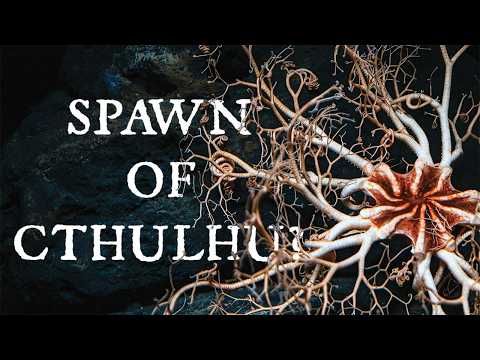 The Upsetting Reality of Brittle Stars