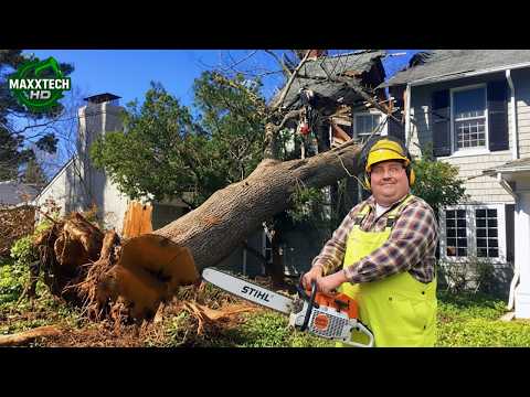 Idiots With Chainsaws: Tree Cutting Fails & Tree Falling on Houses Compilation #16