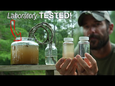 Newly Discovered PRIMITIVE WATER FILTER! 100% Effective