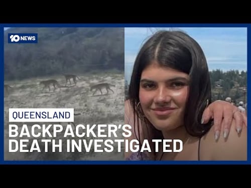 Australian Police Investigate Whether Canadian Backpacker Was Killed By Dingoes | 10 News