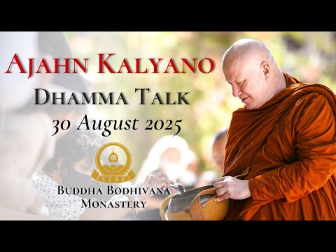 Negativity Can Be Abandoned With Wise Reflection by Ajahn Kalyano 30 Aug 25