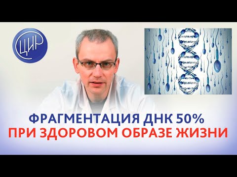 Фрагментация ДНК сперматозоидов 50% и 3 неудачных ИКСИ при здоровом образе жизни. Что делать?