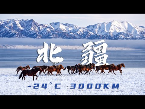 挑战零下24度睡车里!3000KM极致风光之旅 | 冬季北疆环线自驾 新疆 赛里木湖 禾木 喀纳斯 白哈巴 安集海大峡谷 独山子大峡谷