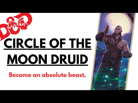 The Moon Druid Is Wild... And It's All Thanks To The New Monster Manual (D&D 5e/5.5e)