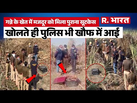 Hapur dead body case: हापुड़ हाईवे किनारे गन्ने के खेत में सूटकेस में मिला महिला का शव, मचा हड़कंप