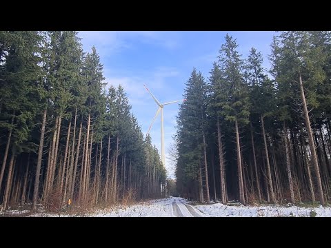 Six months in Germany. What we've done, where we work, what are our plans for the future.